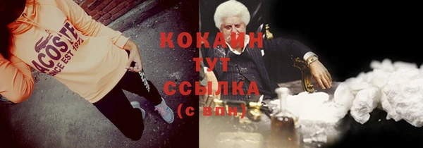 ECSTASY Ельня