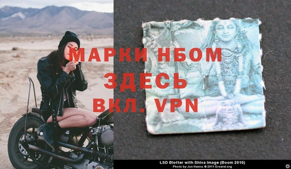 кокс Елизово