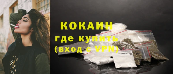 кокс Елизово