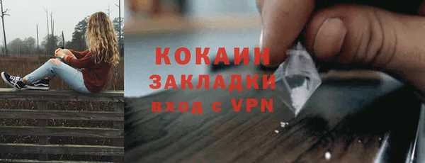 кокс Елизово