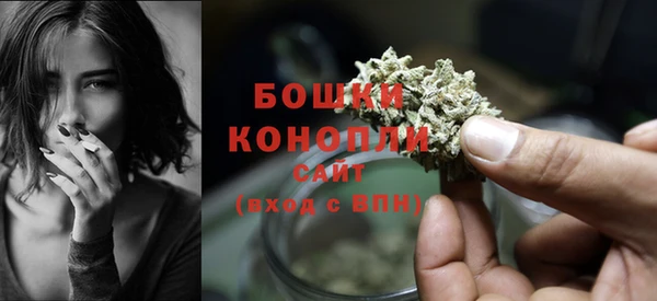 ECSTASY Ельня