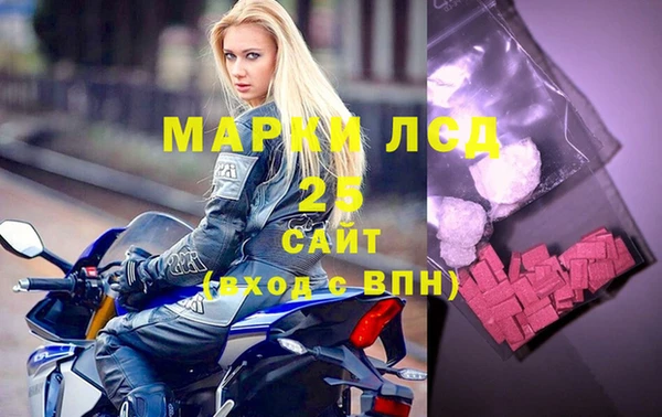 кокс Елизово