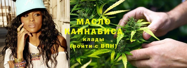 ECSTASY Ельня