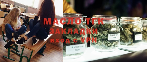 ECSTASY Ельня