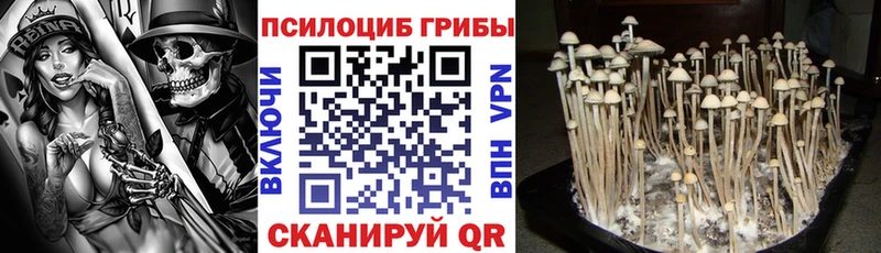 Купить  Мелеуз  Псилоцибиновые грибы GOLDEN TEACHER 